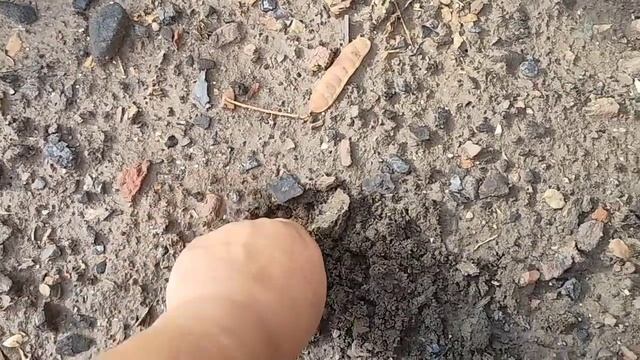 Не красивая клумба. Наконец-то дождались. Дела житейские. Жизнь на пенсии.