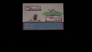 [2 in 1 Day] Live Shiny Wingull After Only 273 REs!! (Sapphire #1)