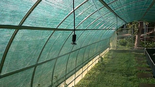 Полив в теплиці - Равлики - Перший рік вирощування. Теплиці центр міста смотреть онлайн