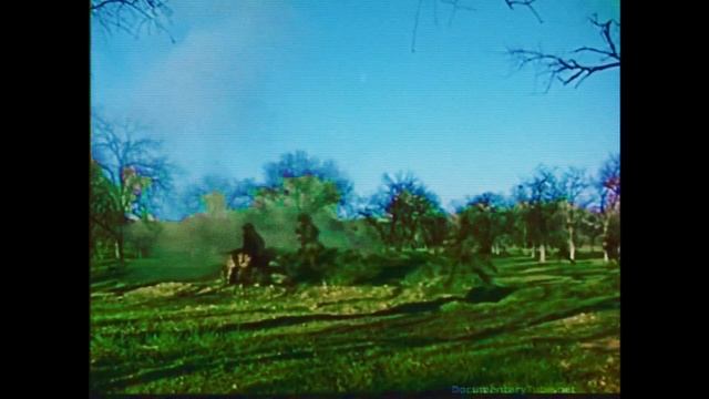 BRADLEY IFV AESTHETIC FANCAM смотреть онлайн