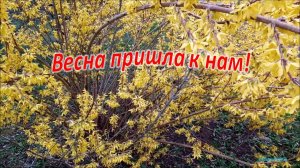 #Весна пришла к нам