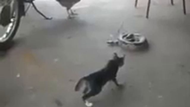 16 января 2016 г. смотреть онлайн