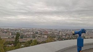 Саратов. Журавли
