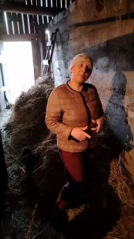 Вот вам и игровая комната 🤫😏 #хлопотывмоемселе #деревенскаяжизнь #сельскоехозяйство #корова