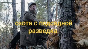 с подсадными утками на болоте. 2025