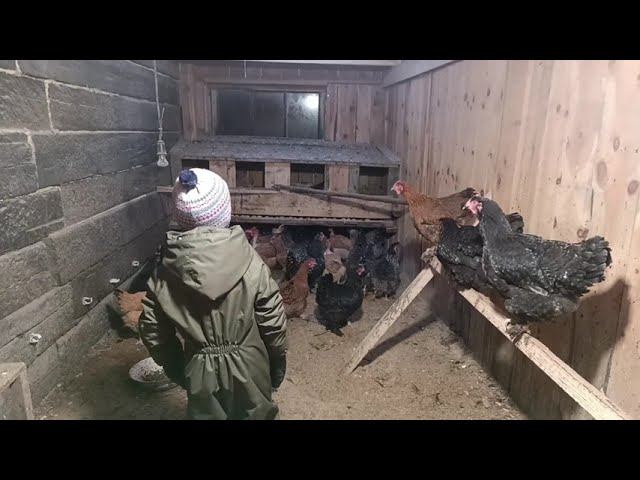 Народ нищает? Или лодыри, а может просто нет нужды? жизнь в деревне.