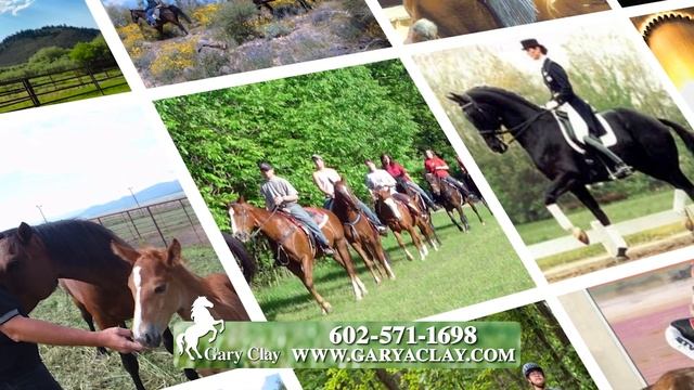 Equine Expert - Gary Clay - Equine Expert смотреть онлайн