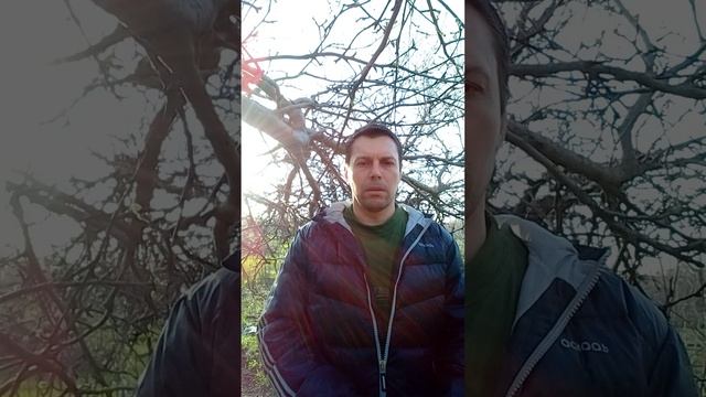 20250415_175418.mp4