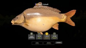 #РР4 Троф Карп голый (оз.Янатарное)