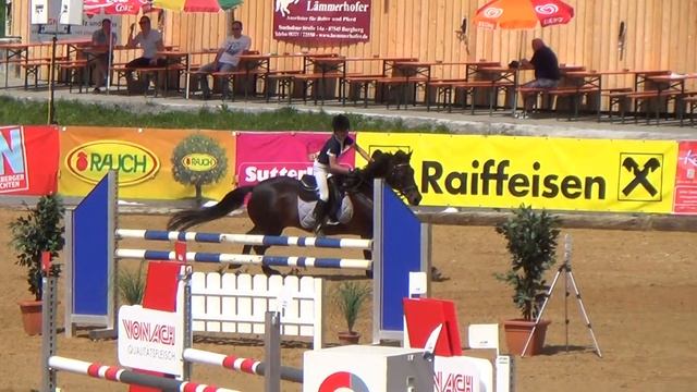 Clogherboy Mirag CS Langenegg 2014 - L 115-120 - 2. Rang смотреть онлайн