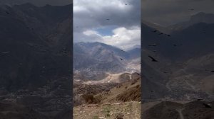 красота вокруг нас