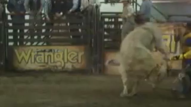 Poncho Orozco / Hector Cardona Toro de Reparo en Venta pbr mexico cuernos chuecos rodeio смотреть онлайн