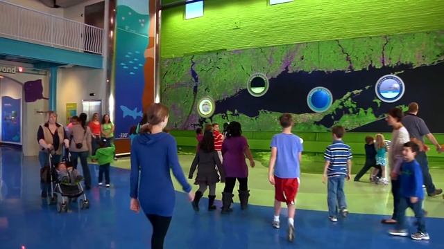 Touch a Shark смотреть онлайн