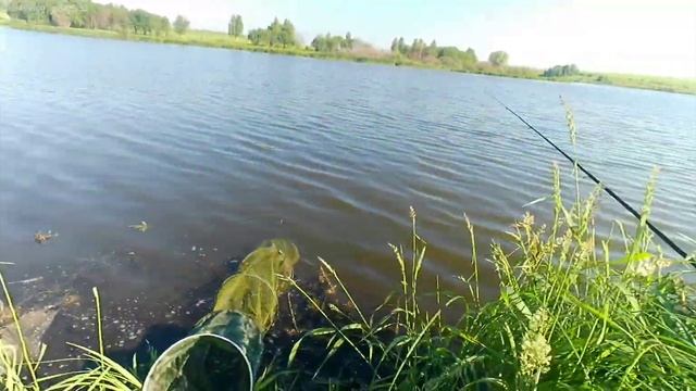 Рыбалка на р.Веневка, д.Барзовка.