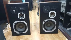 Колонки DIATONE DS-28B