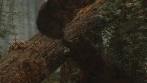 Иван Шишкин  «Русский пейзаж»