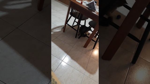 Упс кажется кто-то немножко беременный