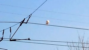 офигеть,такого я еще не видел