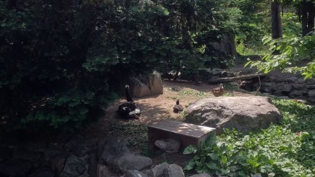 キャンピングカー旅行中に嘔吐と意識消失で救急搬送されました。 смотреть онлайн