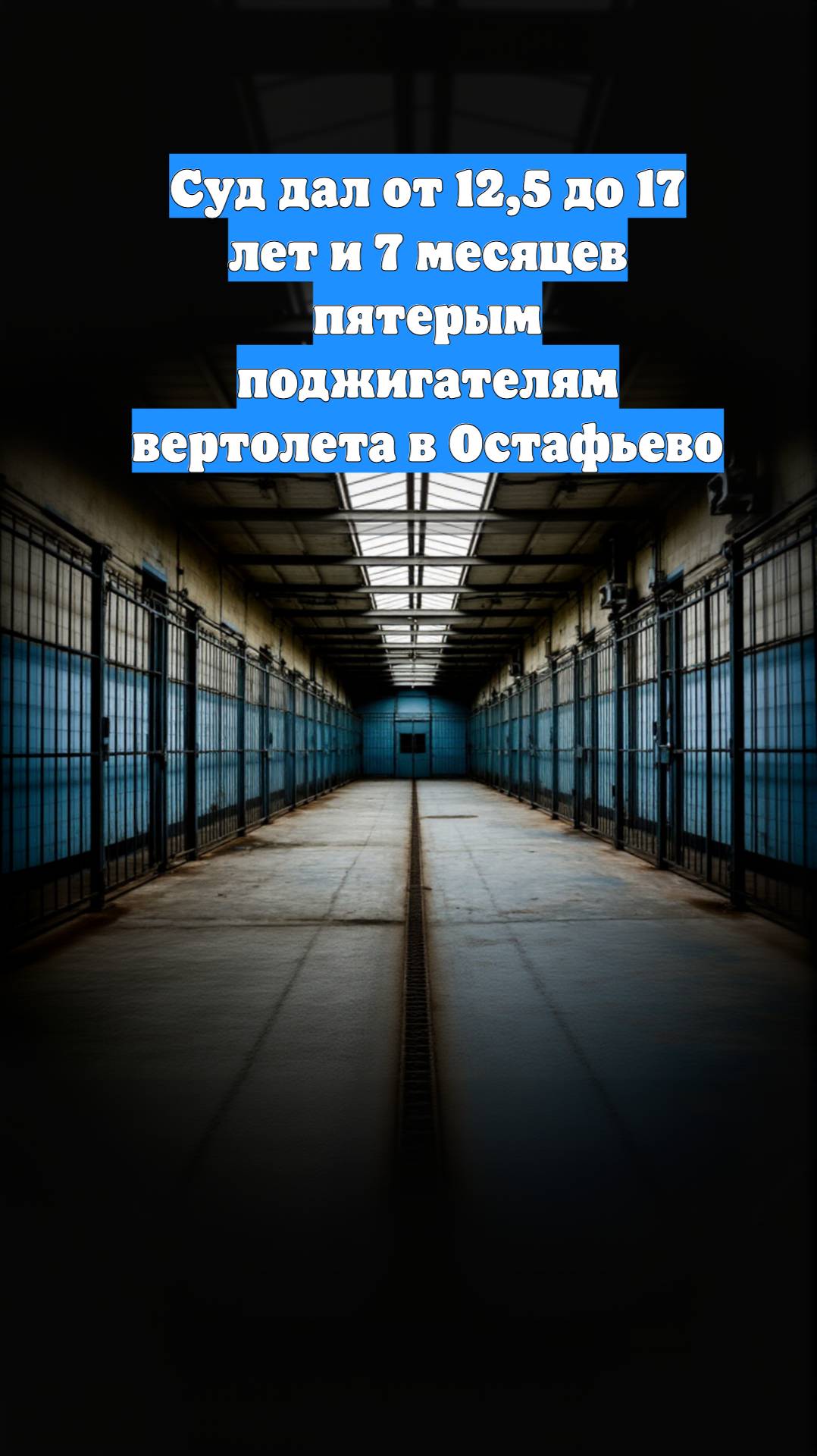 Суд дал от 12,5 до 17 лет и 7 месяцев пятерым поджигателям вертолета в Остафьево