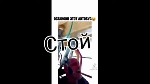 Стой сука🤣