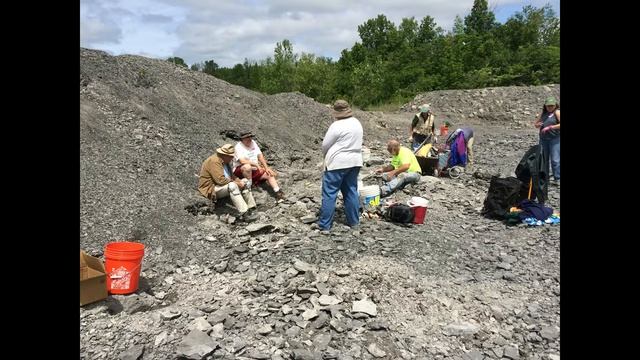 Penn Dixie Fossils - FOSSIL HUNTING AND FOSSIL COLLECTING WITH CHRIS Trilobites, Cephalopods, coral