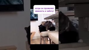 Новая подборка готова!)