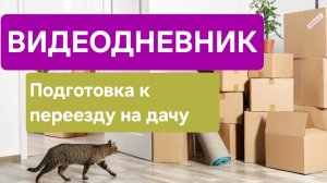 ВЛОГ: Видеодневник. Переезд на дачу. Дачный сезон 2025.