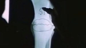 Кремний - основа жизни.