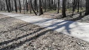 Дубовая роща в городе Чебоксары,краткий обзор.