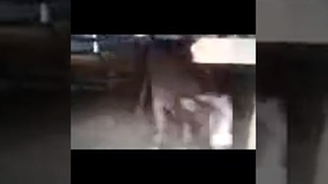 Слова Аллаха смотреть онлайн