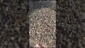 барабанный грохот (сеялка для песка, щебня, торфа)