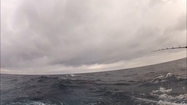 White Marlin Fishing Ocean City MD смотреть онлайн