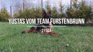 Брутальный красавчик YUSTAS vom Team Furstenbrunn 15.04.2025