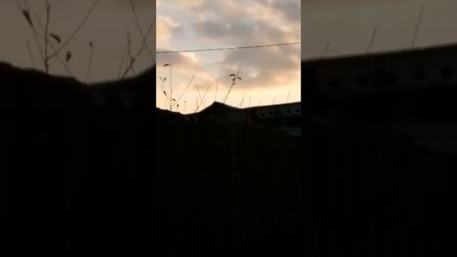 В заброшкн, и родители🎖️ смотреть онлайн