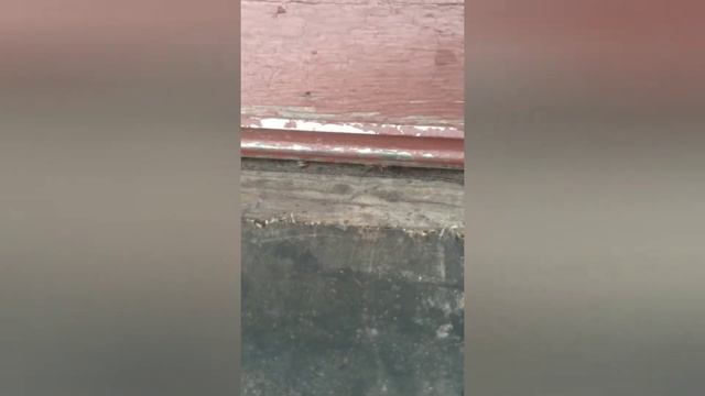 Результат обработки пчел от клеща//варроатоза. смотреть онлайн