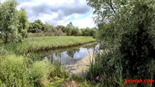Риболов по китайски на езерото Тръстов дол в Перник и баластриерата на Световрачане смотреть онлайн
