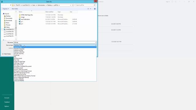 How to convert publisher to Bitmap Image