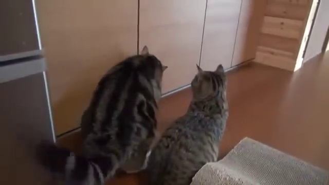 Помощь и взаимовыручка