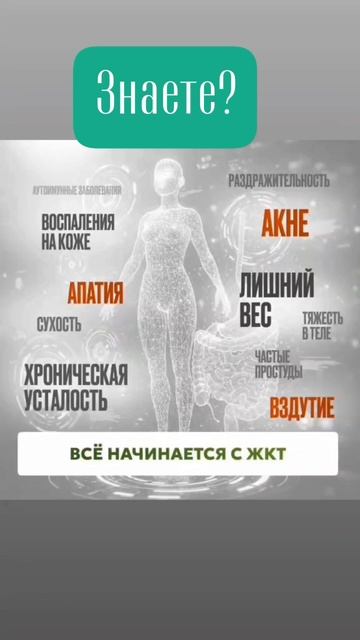 ВСЕ НАЧИНАЕТСЯ С ЖКТ