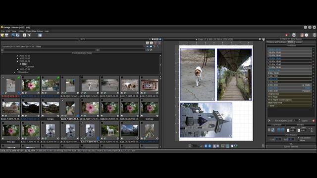 Qimage Ultimate - Getting Started смотреть онлайн