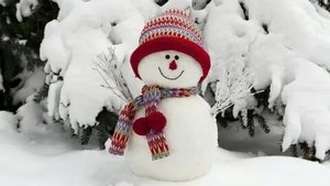 Мой дорогой снеговик сказка