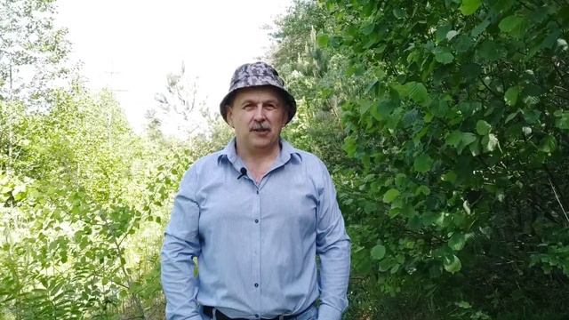 Дика кулінарія. Страви із рослин і тварин, що не стали культурними та домашніми.