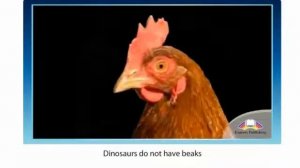 Action 10  Module 1   Back to life  Ex 2 p 10 SB