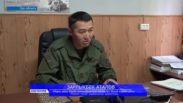 ЖАМАЛДИНОВДУН ТУУГАНЫ ТАЛАШ БОЛГОН ЖЕРЛЕРДИ КӨРСӨТҮП БЕРДИ смотреть онлайн