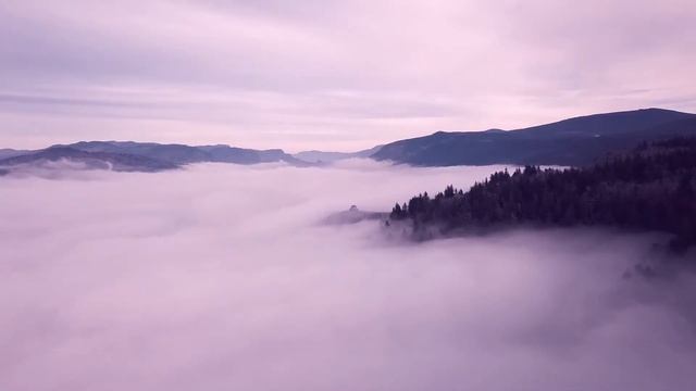 Грачи