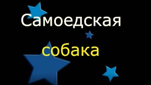 Девочки красоточки (Лавр и Лана) 05.03.2025