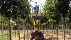 Платформа для подрезки деревьев Pazzaglia CSP300