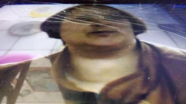 Дальневосточный леопард Мизер в московском зоопарке. Очень интересный и пунктуальный хищный кот.