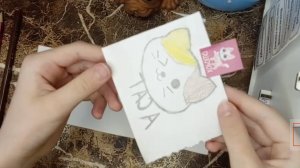 Как нарисовать Кота / Рисуем Кота / Как сделать нарисовать Кота карандашом